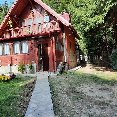 Villa Casuta Paterau Cheia, Prahova Cheia  Exterior foto