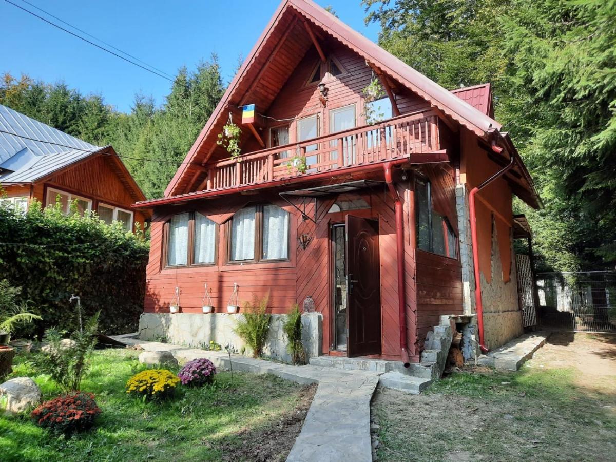 Villa Casuta Paterau Cheia, Prahova Cheia  Exterior foto