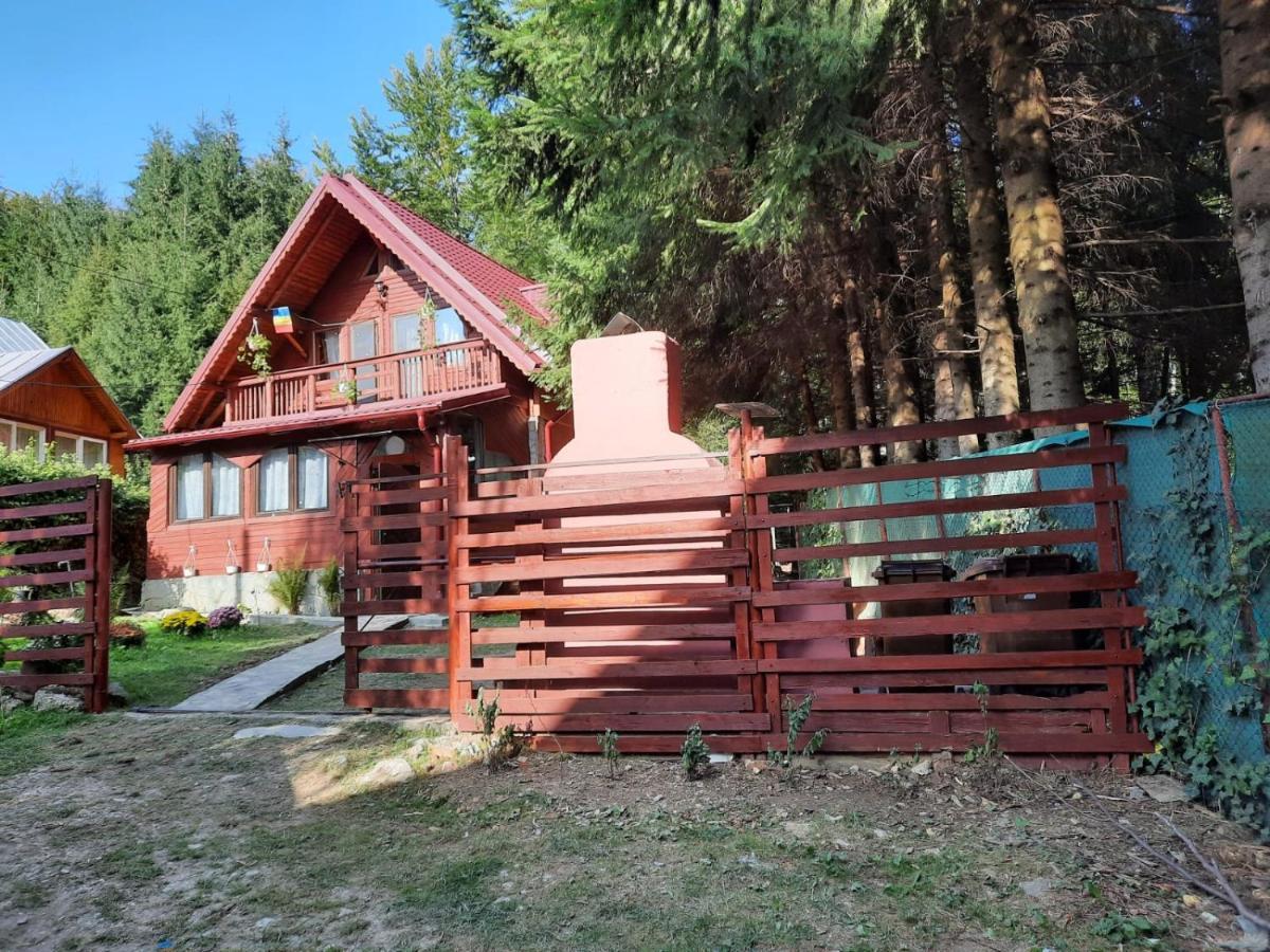 Villa Casuta Paterau Cheia, Prahova Cheia  Exterior foto